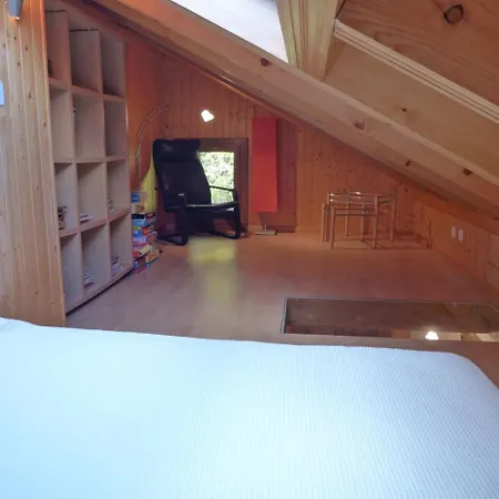 Appartement Le Schuss *